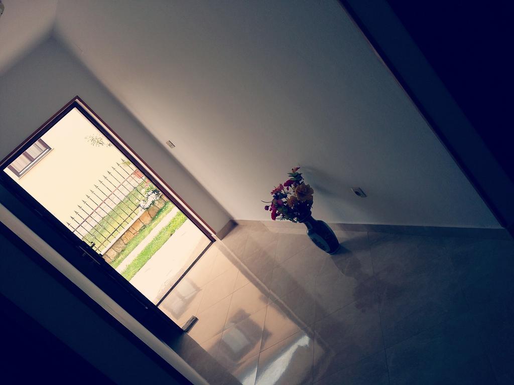 Apartment Pejic Umag Dış mekan fotoğraf